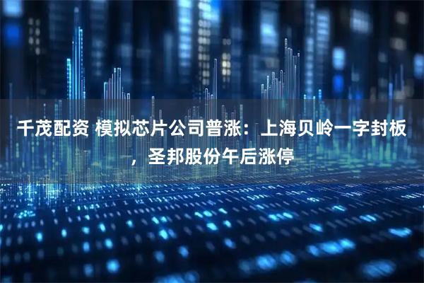 千茂配资 模拟芯片公司普涨：上海贝岭一字封板，圣邦股份午后涨停